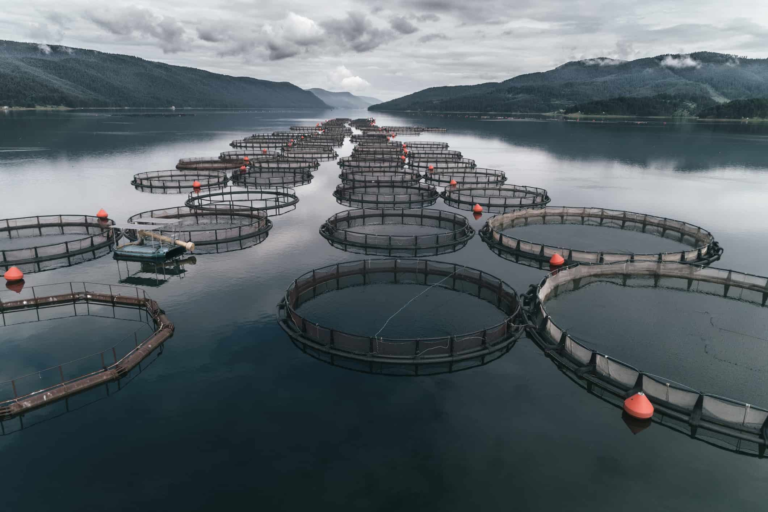 What’s Wrong With Fish Farms?